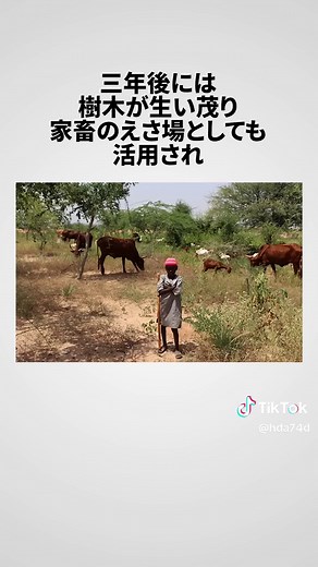 日本人がアフリカの砂漠で行った環境改善の秘密