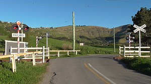 D140 on the Night market service 11/10/25 | Dusty's Photography