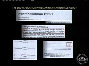 Demystifying Medicine 2013 - Telomerase and Telomeropathies