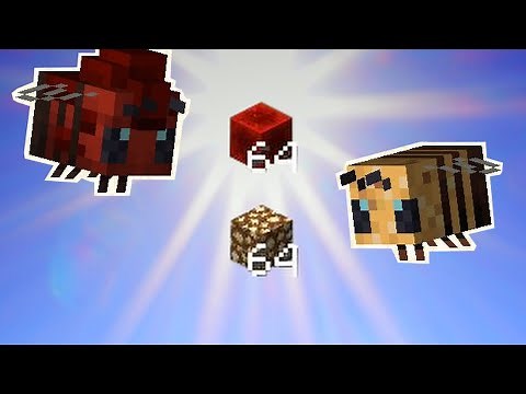 How To Get A Redstone Bee and Glowing Bee: All The Mods 7 Tutorial