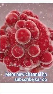 Cell Division Explained | Mitosis and Meiosis Made Easy #celldivision #mitosis