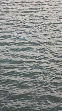 🌊 Slow Motion View of Pond Water | Nature's Calm and Beauty 🦆✨ #RelaxingVideo