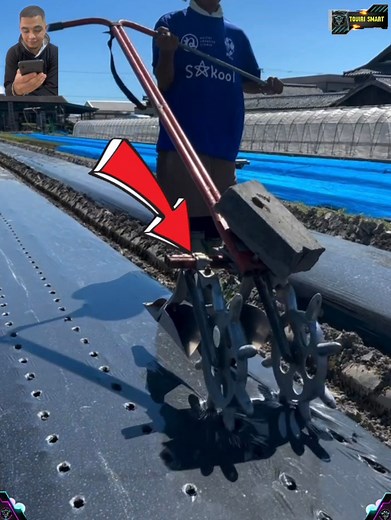 534K views · 10K reactions | When work becomes art… that’s where creativity begins. | Touiri Smart | Facebook