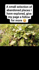 A small selection of abandoned places I have explored, give my page a follow for more 😊 #abandoned #urbex #abandonedplaces #urbanexploring #abandoneduk #urbanexplorer | URBAN ROT