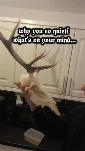 my brains is more like a personal soundboard #meme #piercingtok #piercer #funny #piercings