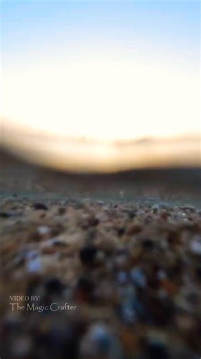 POV: You are a sleepy selkie resting on the shore of Lake Michigan