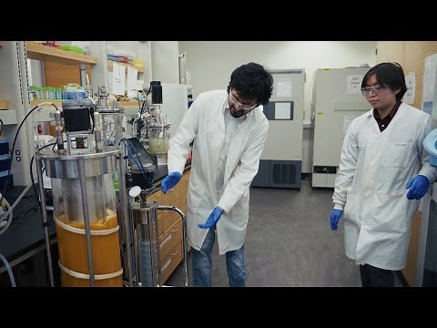 Think Tank: The Future of Bioreactors