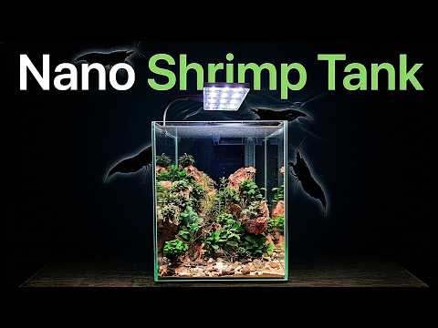 Nano Shrimp Tank Setup - Start to Finish with Dragon Stone