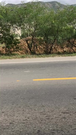 KMX 125 🍀🍀💎💎 along the tracks!!! 💨💨💨💨 | Kmx