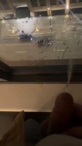 pissing ALL OVER the hotel 😈full 7 minute video on Fansly.. and I show face 😉#pee #pissing #peeing #pee #pissdestruction #evilpiss #publicpiss