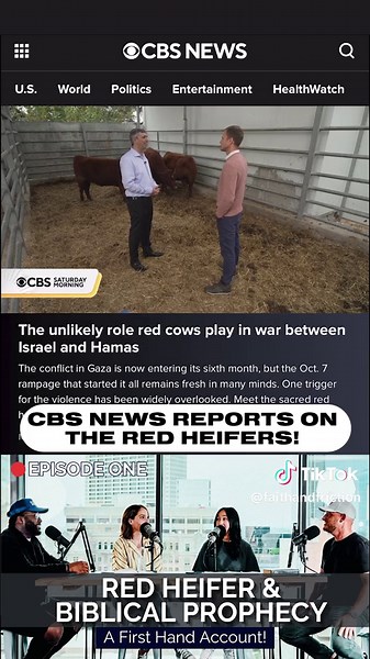 Faith & Friction on TikTok