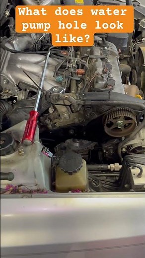 #2003 #lexus #es300 #timing #belt #replacement #waterpump #techlife #mechanic #coolingsystem