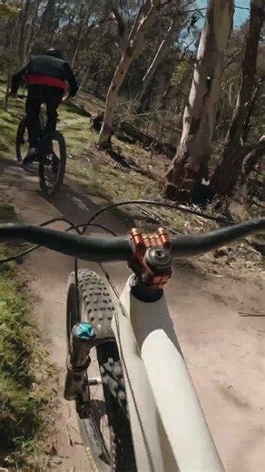 Our Favourite Beginner Trail in Omeo, VIC | Stampede