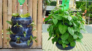 61K views · 2.2K reactions | How to make a hanging garden to grow vegetables effectively | Balcony Garden Ideas | Facebook