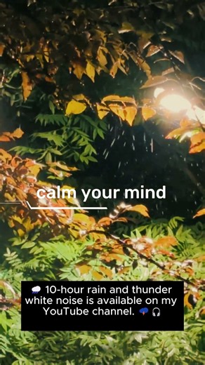 🌧️ Calm your mind with the natural sound of rain and distant thunder. 🌩️🎧