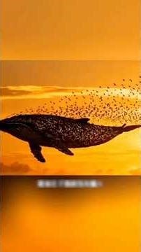 Zhuangzi Was Right: The Real Kunpeng Exists in Nature