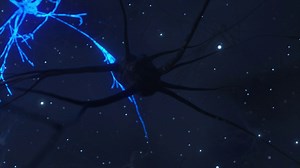 Animation Of Activity Of Neurons Synapses Stock Motion Graphics SBV-348363802 - Storyblocks