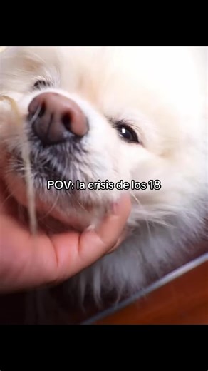 Understanding the Crisis of Turning 18: Insights