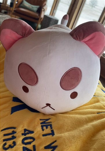 Exploring the Adventures of Bee and PuppyCat