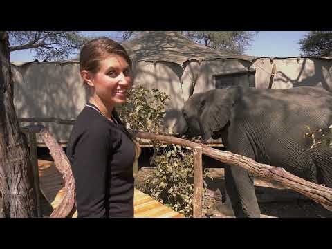 I Walked Among Zimbabwe's Wildest Animals 😳 | Epic Safari Destinations S1 Eps 1-4