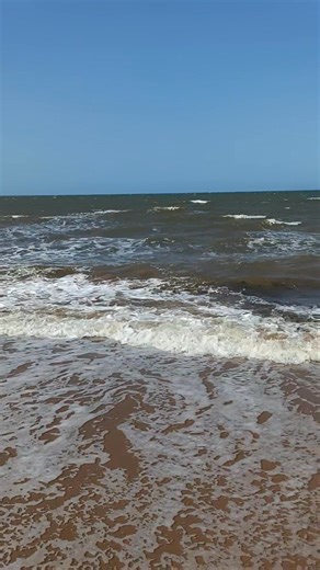 #spring #scarborough #redcliffepeninsula | Judi Stevenson