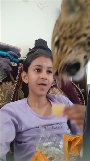 My Second Pet Leopard 🐆🔥