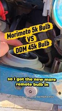 Morimoto VS DDM HID Bulb