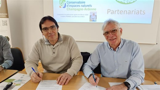 Association Arbres remarquables de l’Aube : des bénévoles engagés au service du patrimoine arboré