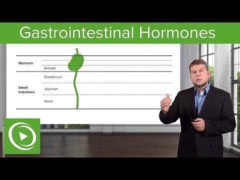 Gi Hormones: Gastrointestinal System – Physiology | Lecturio