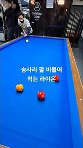 송사리 팔 비틀어 먹는 라이온