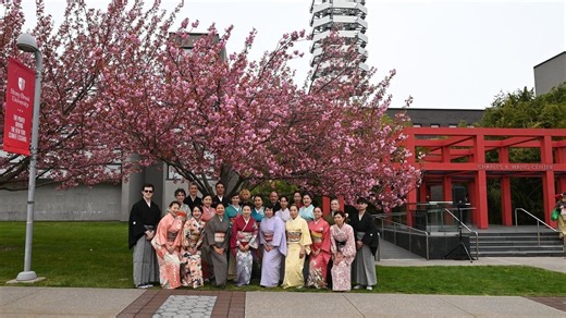 Guide to Cherry blossom festivals in Greenport and Stony Brook