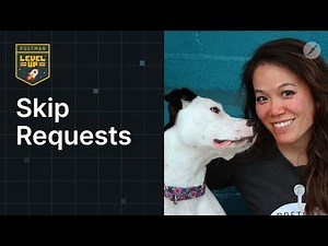 Skip Requests | Postman Level Up