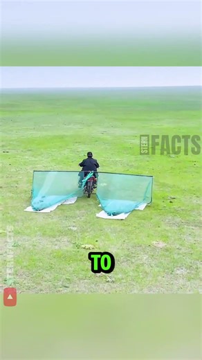 How Inner Mongolia Catches 300kg of Locusts in One Drive