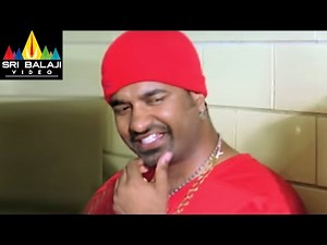 Vennela Movie Comedy Scenes Back to Back | Raja, Brahmanandam | Sri Balaji Video