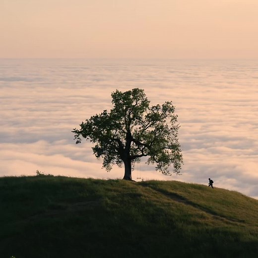 Discover Big Sur: Nature's Most Beautiful Destination