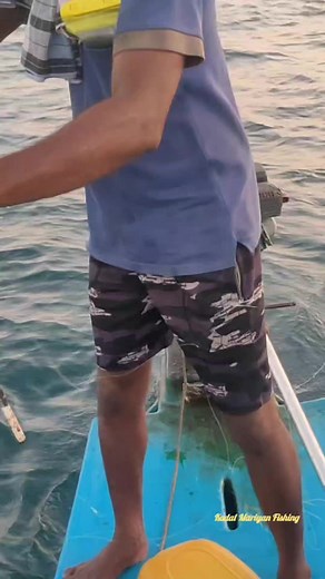 Caught Yellowtail Snapper fish #fishing #fisherman | Kadal mariyan- fishing | Facebook