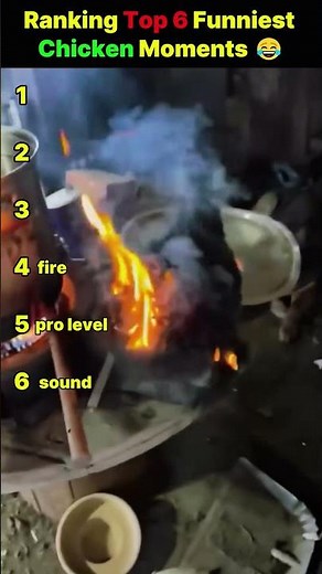 Ranking Top 6 Funniest Chicken Moments 😂 #funnypets #funnychickens #chicken #pets
