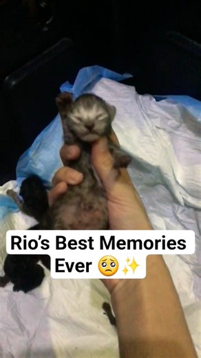 Rio’s Precious Memories | So Emotional 💗