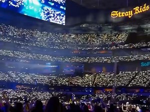 livenation更新StrayKids洛杉矶现场