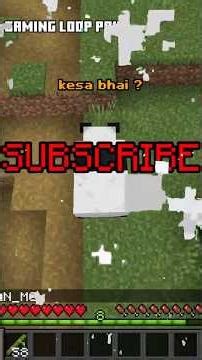 Minecraft Mob Hunt 🐼