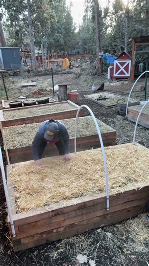 PNW Garden beds tucked in for winter. #pnwgardening #winteriscoming #pnwgarden