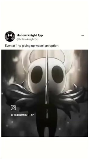 The name of the game : hollow knight