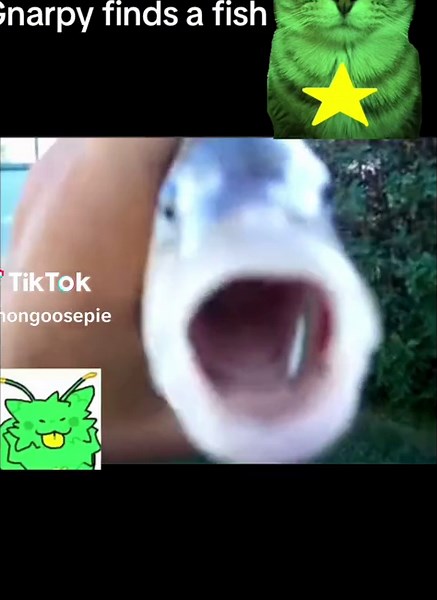 Gnarpy Finds a Fish: A Tale of Regret