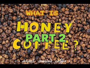 What is Honey Coffee? (Part 2)