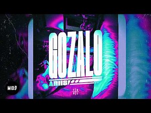 Ariis - GOZALO (Ultra Slowed) 💫 BRAZILIAN FUNK PHONK