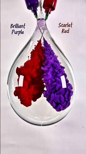 when brilliat purple meets scarlet red 🎆