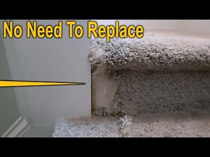 Pet Damaged Carpet Repair, Home Improvement