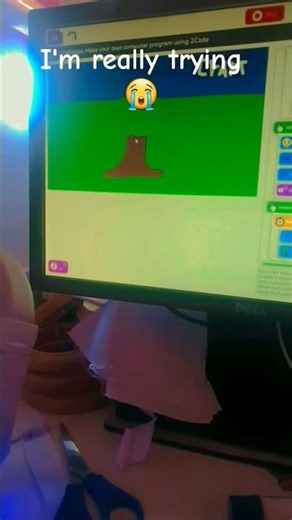 verity game on purple mash (so confused on coding)