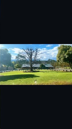 #gippslanddairy 🚗 Driving Through Gippsland｜Fields & Blue Skies 🚗 Gippsland自驾掠影｜绿野与蓝天相伴