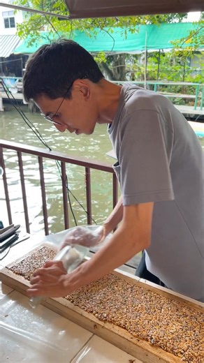 490K views · 2.4K reactions | Puffed Rice Candy Making in Bangkok | Street Food Recipes | Facebook
